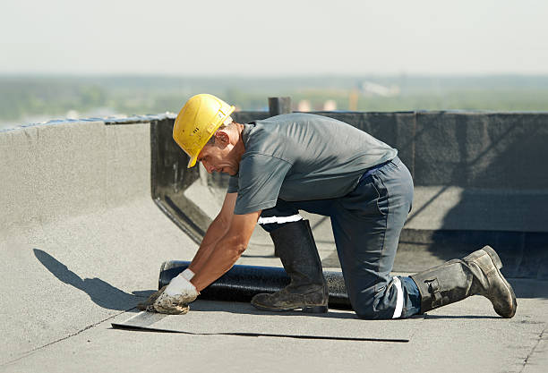 Best Best Insulation Companies  in Ixonia, WI