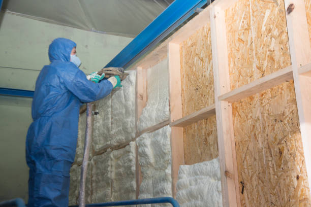 Best Insulation Contractors for Homes  in Ixonia, WI