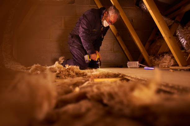 Best Insulation for New Construction  in Ixonia, WI